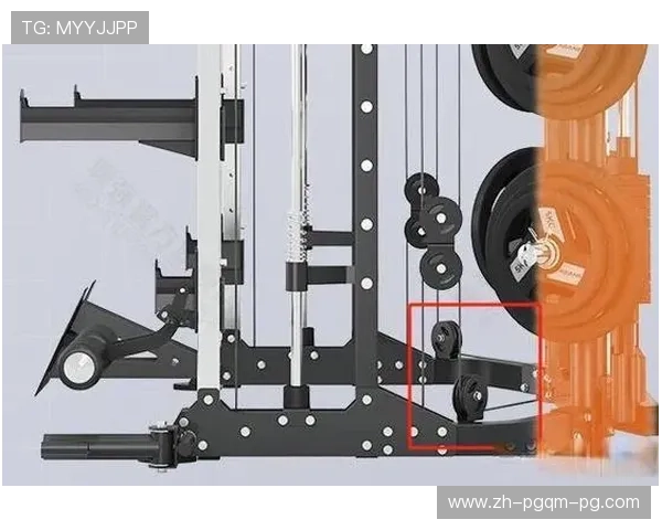 自制蝴蝶健身器材教程：家庭健身新选择